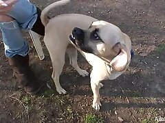 Only Asian Porn Videos 1